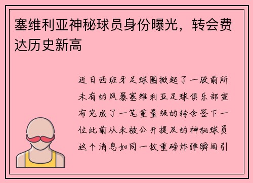 塞维利亚神秘球员身份曝光，转会费达历史新高